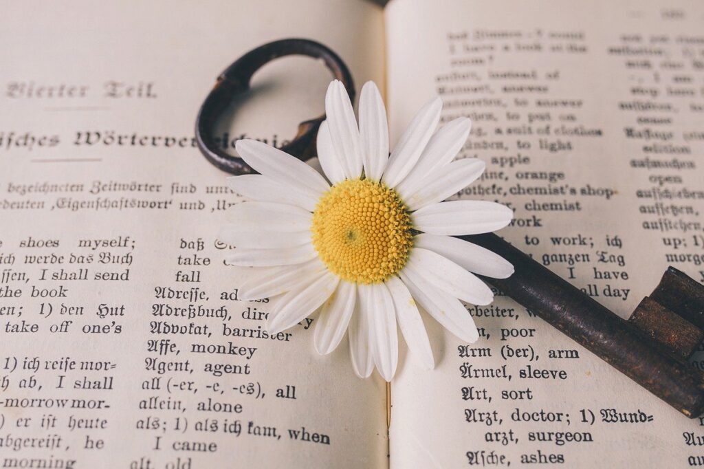 英語の本の上に置かれた花のついた鍵
